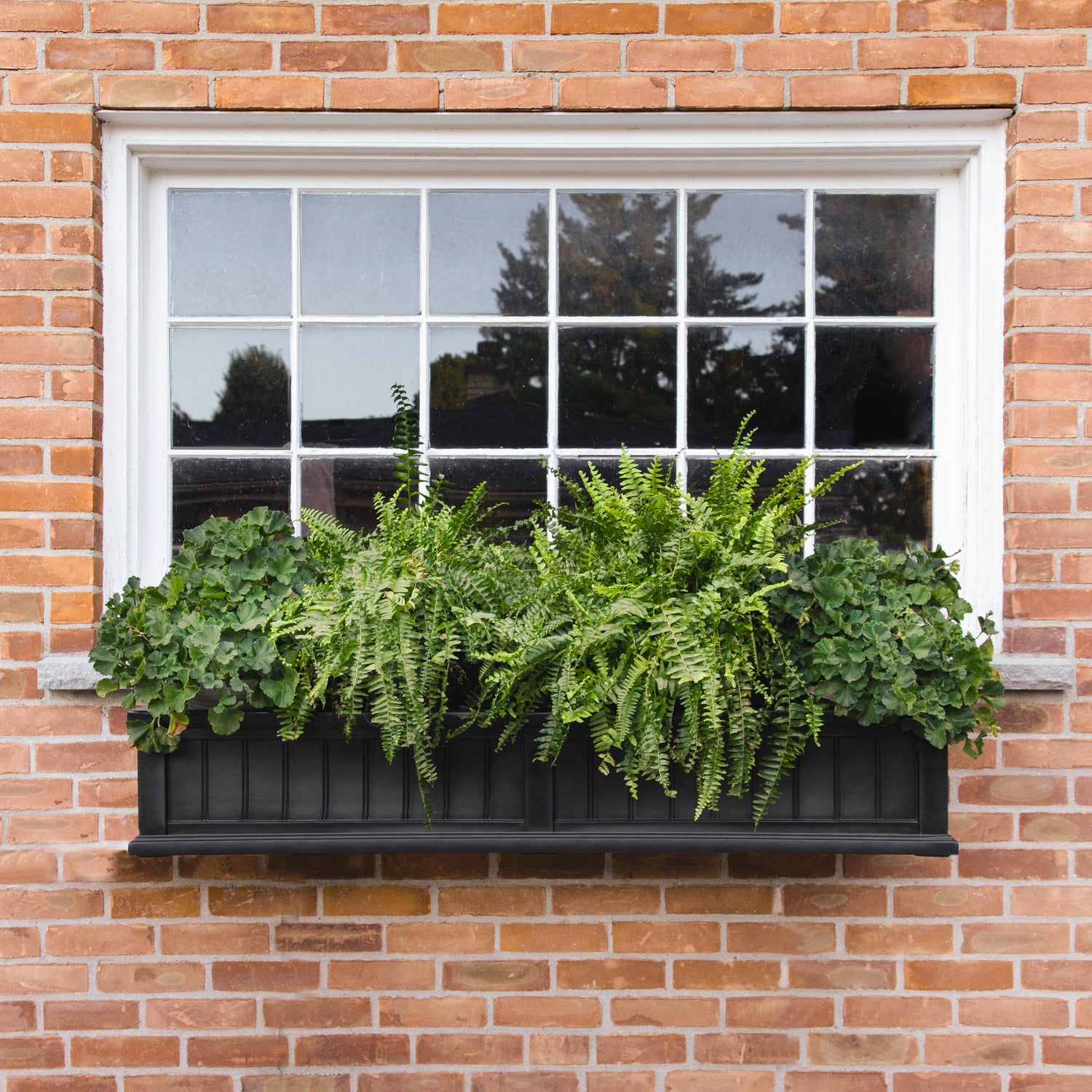 Cape Cod 5ft Window Box