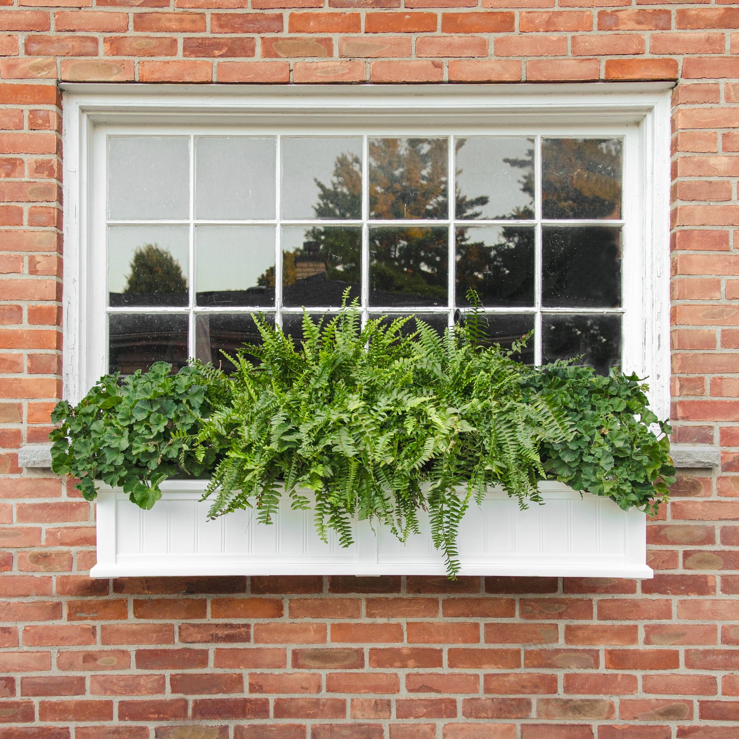 Cape Cod 5ft Window Box