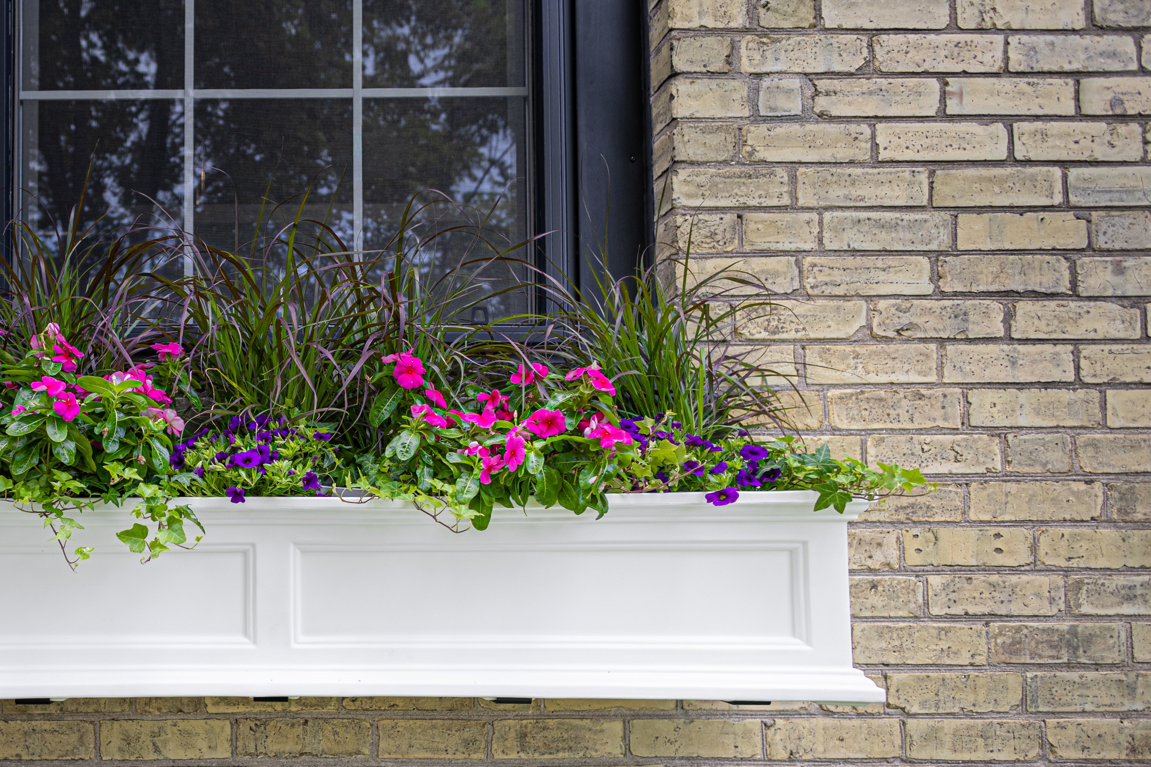 Mayne Fairfield 3ft Self-Watering Window Box with Steel Wall Mount