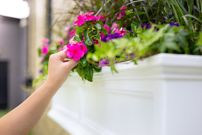 Mayne Fairfield 3ft Self-Watering Window Box with Steel Wall Mount Brackets