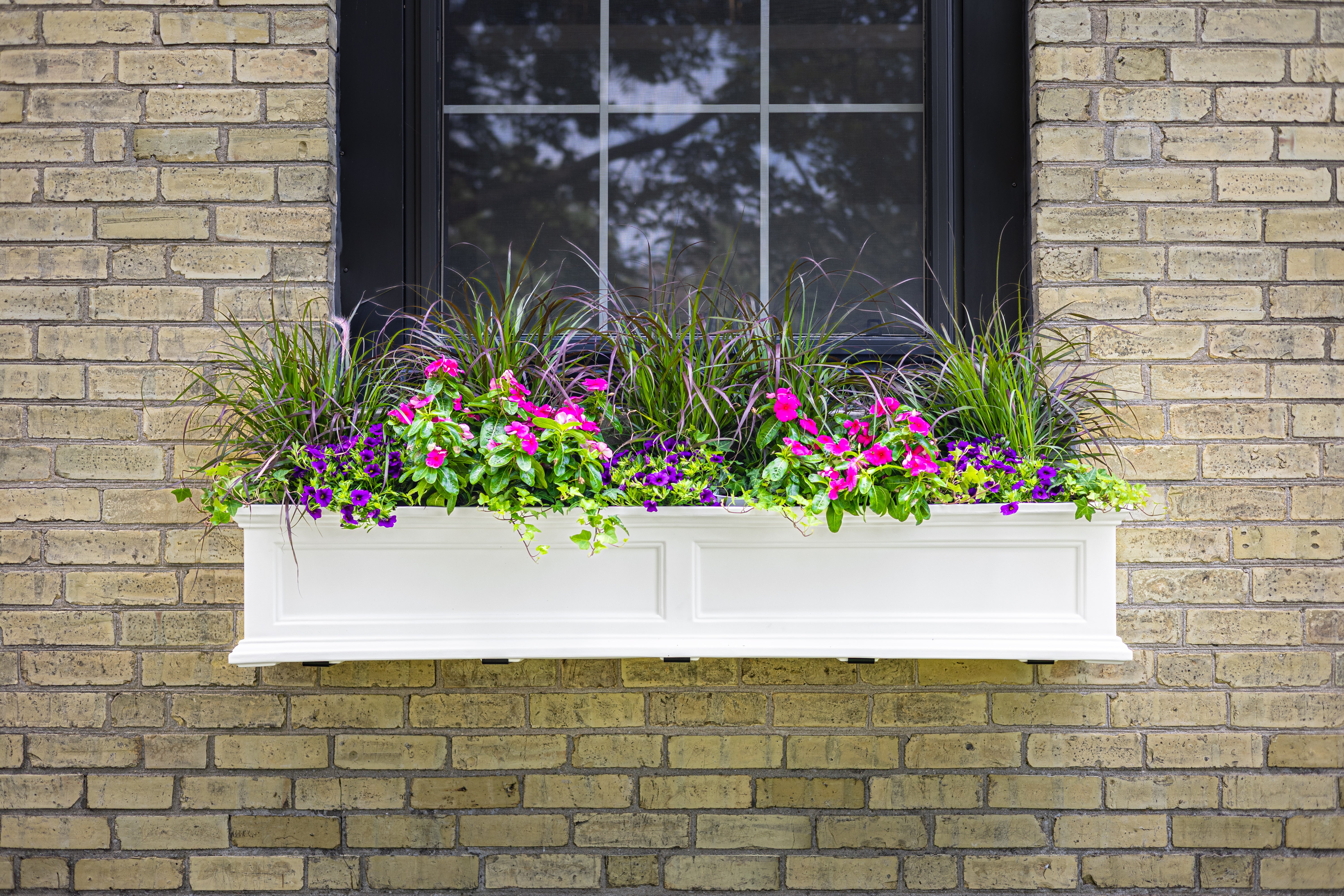 Mayne Fairfield 5ft Self-Watering Window Box with Steel Wall Mount