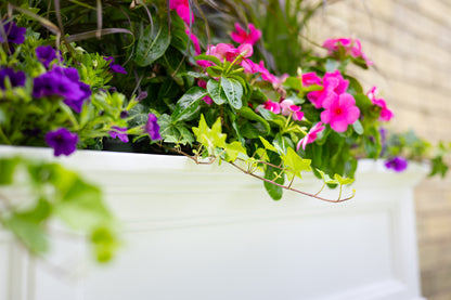 Mayne Fairfield 5ft Window Box