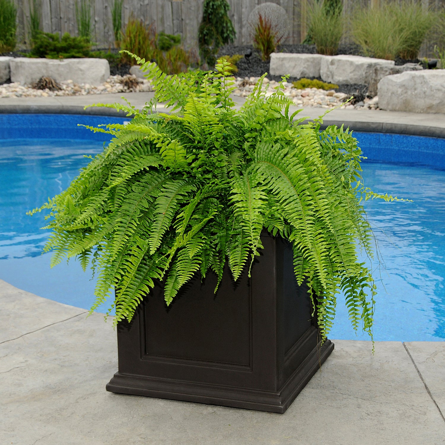 Mayne Fairfield 20-Inch Self-Watering Square Planter