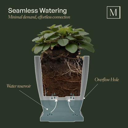 Mayne Acadia 20-Inch Self-Watering Tall Planter (Black)