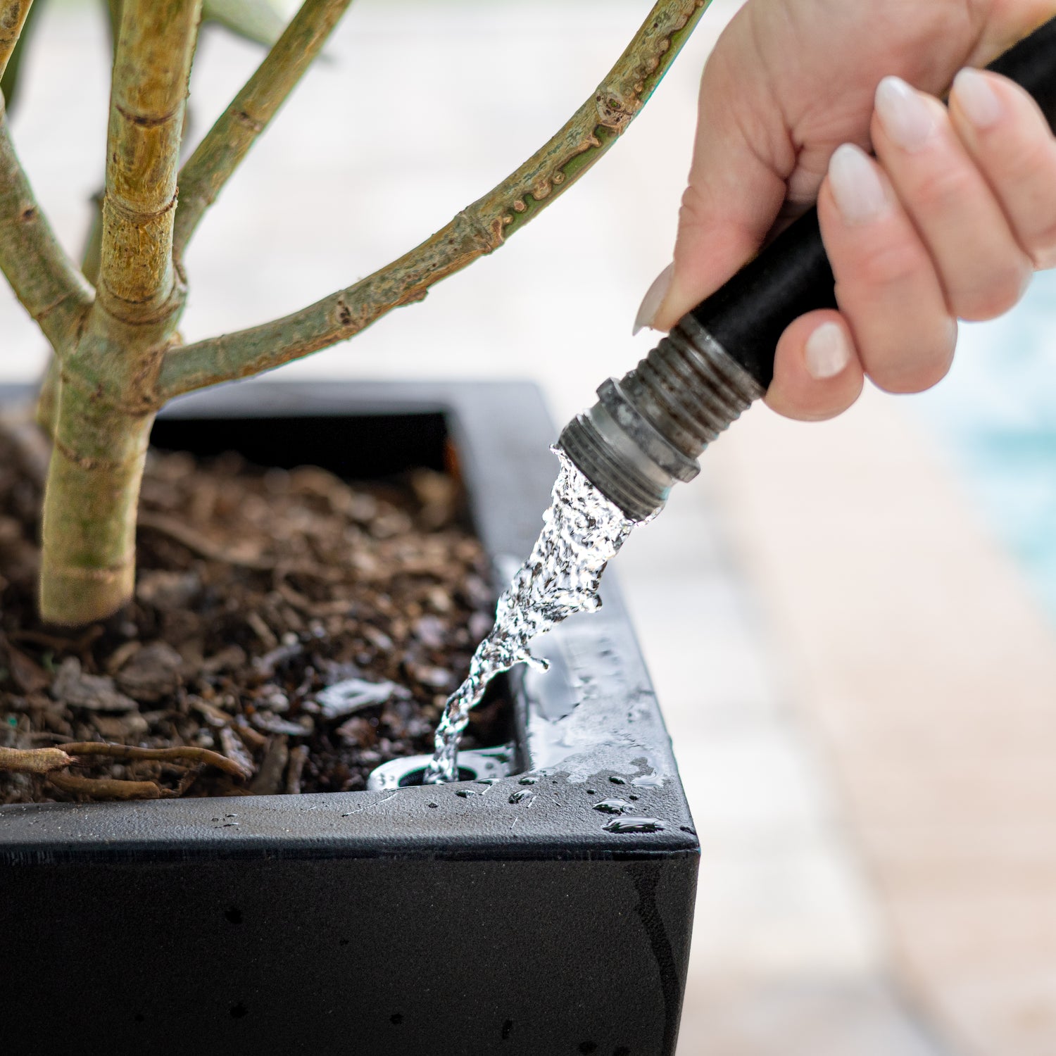 Mayne Acadia 20-Inch Self-Watering Tall Planter (Black)