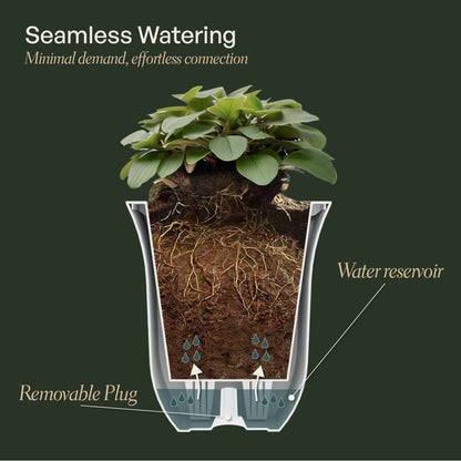 Mayne Valencia 8-Inch Self-Watering Wall Mount Planter (3-Pack)