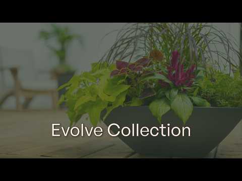 Evolve Tapered Bowl Planter