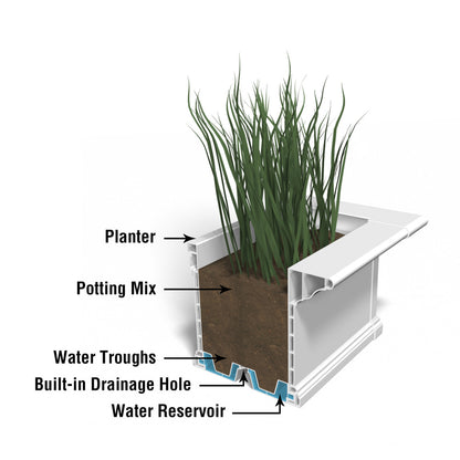 Mayne Yorkshire 2ft Window Box